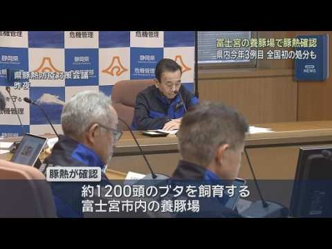 YouTube Video 静岡・富士宮市の養豚場で豚熱の感染を確認　「選択的殺処分」を全国で初めて実施へ　静岡県