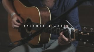 Anthony D'Amato - If You're Gonna Build A Wall