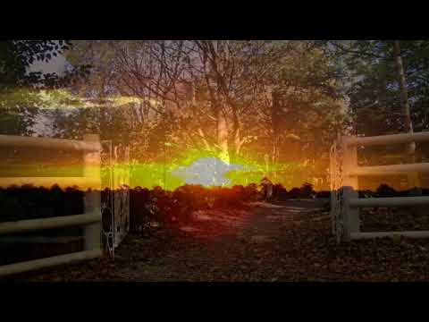 Hoa có vàng nơi ấy Sheet - Tuấn Ngọc