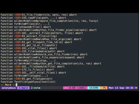 Vimscript Tutorial Function Function Lookup In The Command Prompt