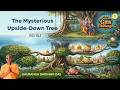 Purushottama Yoga #1 | The Mysterious Upside-Down Tree | BG 15.1 | Gauranga Darshan Das DEFAULT Thumbnail