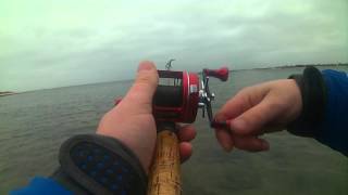 Abu garcia ambassadeur 5501 cs pro rocket