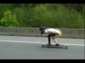 The Thermals - God and Country (High Speed Longboarding / Downhill)