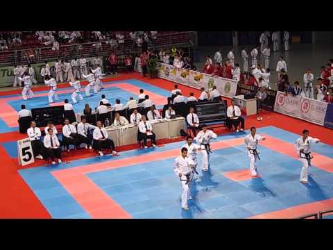 Argentina & Russia Male Team Patterns 2013 ITF World Championships