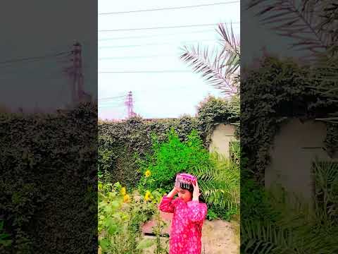 #Nature⛰️#videography✨#song