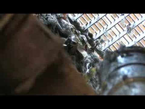 Gesundbrunnen: Die Quelle sprudelt wieder