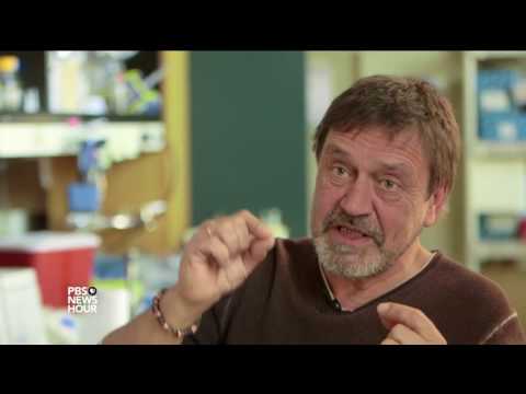 Drug companies aren't making new antibiotics. Is there an ...