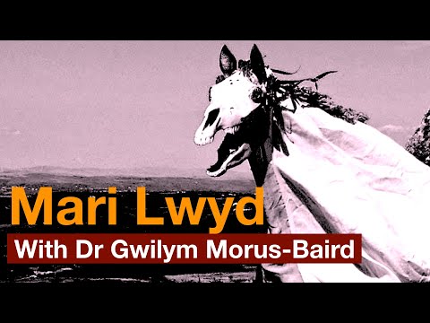 Mari Lwyd - The Welsh Sources and Meaning