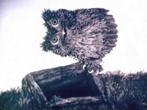 St.adam - Ezītis miglā