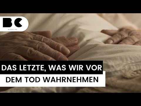 Was nehmen wir vor dem Tod als letztes wahr?