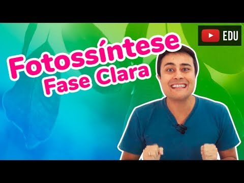 Fotossíntese - Fase Clara (Fotoquímica) - Prof. Paulo Jubilut