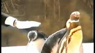 QUEEN - Making of &#39;&#39;I&#39;m Going Slightly Mad&#39;&#39; video. Part 1