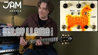 Video thumbnail for Jam Pedals Delay Llama Xtreme by AndyDemos