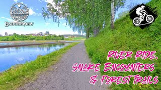 Virtual Biking | Serene River Ride, Snake Encounters & Forest Trails!