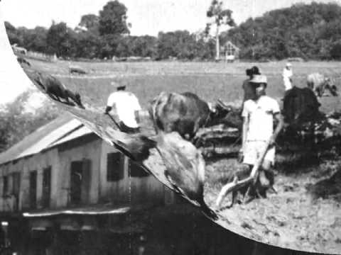 Vosion Tokou Ginavo - Christina Lojuntan