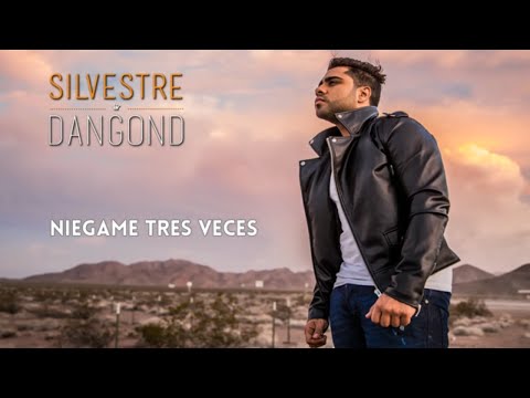 Niégame Tres Veces, Silvestre Dangond - Letra Oficial
