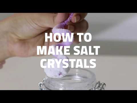 Wetland From Home - How To Make Salt Crystals