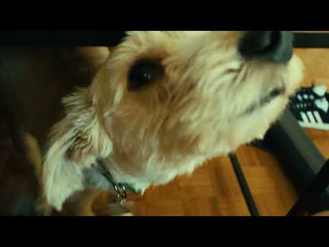 Pruebas con Samsung NX 2000