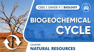 Biogeochemical Cycle | Natural Resources | Class 9 Biology Chapter 14