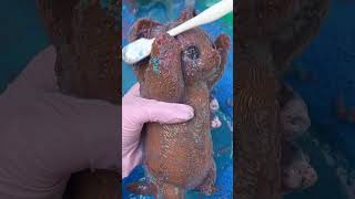 Download lagu CLEANING SQUISHY ASMR 🐱🐱Cat#asmr mp3 Download lagu CLEANING SQUISHY ASMR 🐱🐱Cat#asmr mp3