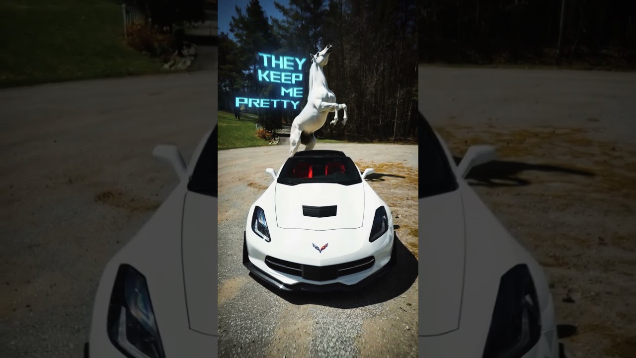 Car Promo