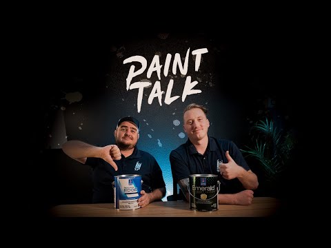 Painter Edge Plus