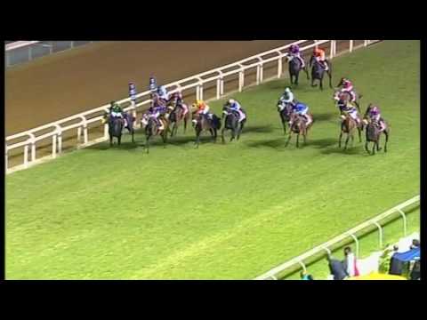 Race 7 THE CANON GUINEAS GREYVILLE