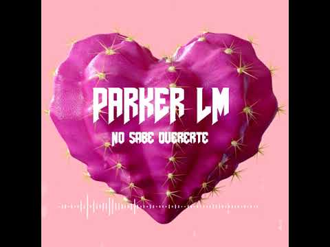 PARKER LM ft. Freebot - NO SABE QUERERTE 💔(J Log Music)