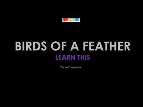 Saying, Birds of a feather flock together.