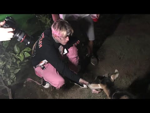 LiL PEEP - never sober [P.S. Fuck You Cunt Solo Version]