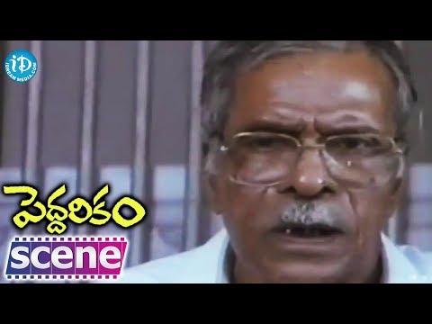 Peddarikam Movie - N N Pillai Nice Scene