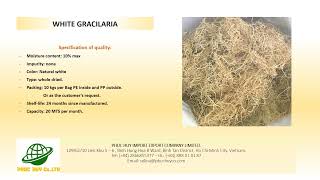 Super grade white gracilaria youtube video