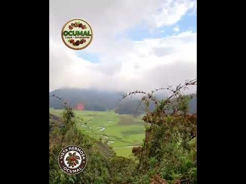Valle huaylla Belen -Luya /Amazonas🇵🇪