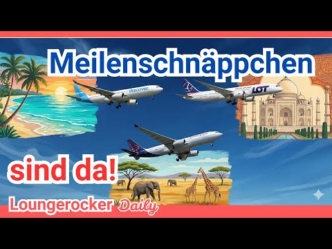 Meilenschnäppchen, Amex Offer & jede Menge neue Angebote (Miles & More)