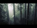 The Hanging Tree Jennifer Lawrence James Howard With Rain Slowed Reverb Loop