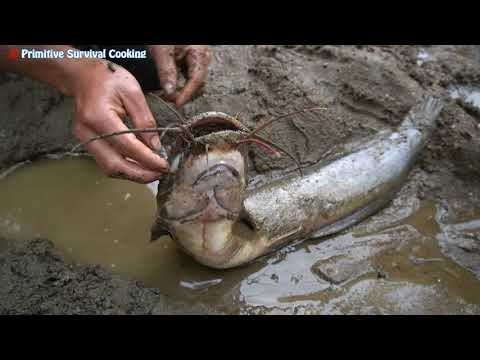 Survival Skills: Primitive Life Find Catfish in Mud Cracks Secret Underground Hole Catch Big Fish