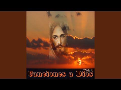 Tu Has Venido a la Orilla