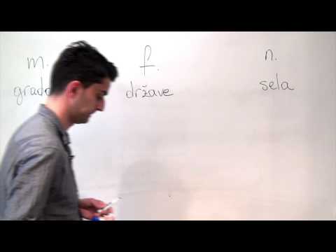 Bosnian/Croatian/Serbian Grammar: The Locative Plural of Nouns