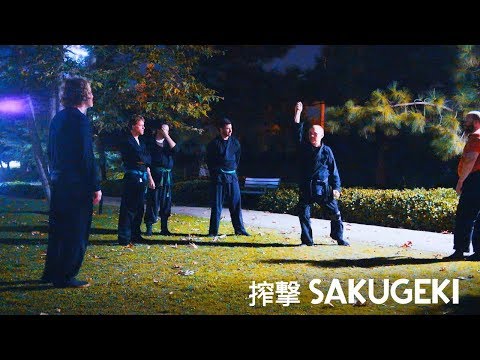 Bujinkan Kata 搾撃 Sakugeki Preview