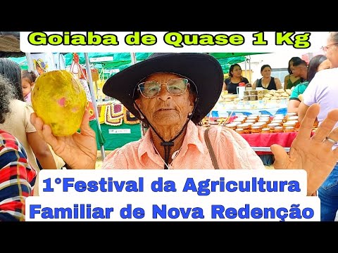 1° Festival da Agricultura Familiar de Nova redenção - Bahia
