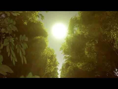 Om Kriget Kommer: Förberedelser och Överlevnad