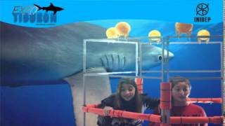 DIA 2 Expo Tiburon119