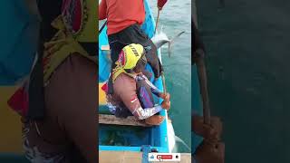 Download lagu FISHING MANIA STRIKE GUYS !!!  THE PULL IS LIKE A HORSE PULLING, VERY STRONG, GUYS mp3