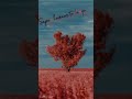 Saree Ke Fall Sa ️ Remix Whatsapp Status Vertical 4k HD Video Song ️