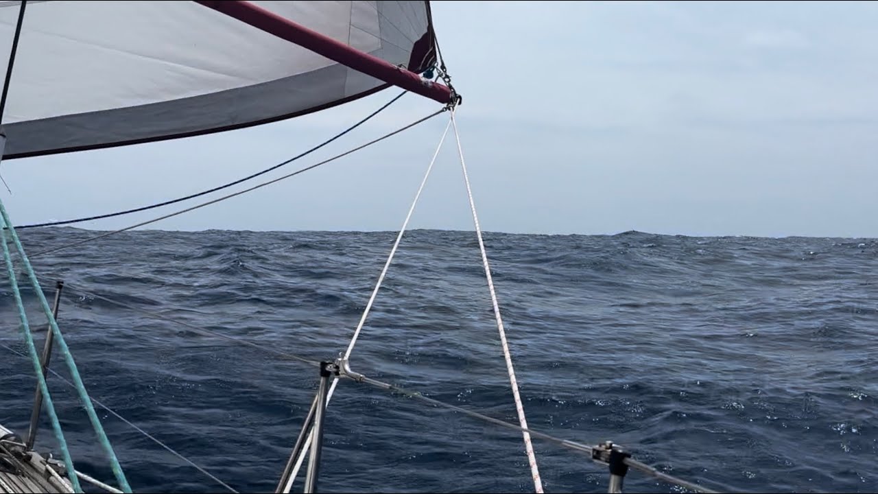 Relaxed but quite speedy Days 6&7, sailing solo in the Pacific