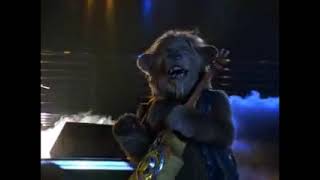 Let It Ride-The Country Bears