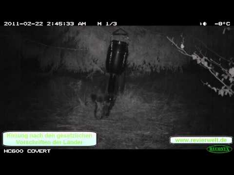 Kirromat der Revierwelt Media