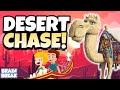 Desert Chase | Brain Break | GoNoodle Inspired