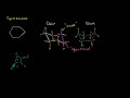 Chair and Boat Shapes for Cyclohexane Video Tutorial