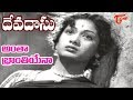 ANR Old Hits Devadasu Movie Antha Bhranthiyena Song ANR Savitri OldSongsTelugu